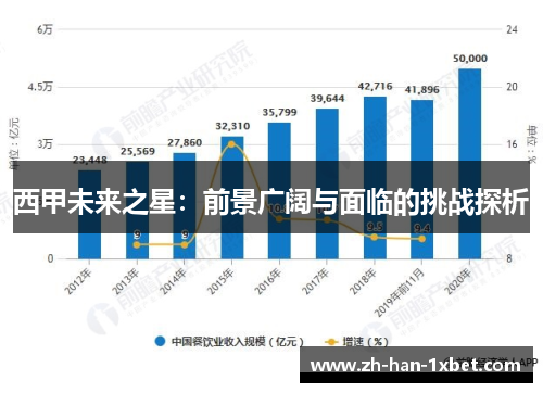 西甲未来之星：前景广阔与面临的挑战探析