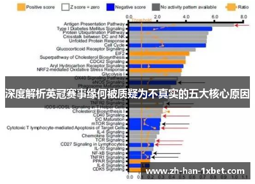 深度解析英冠赛事缘何被质疑为不真实的五大核心原因 深度解析英冠赛事缘何被质疑为不真实的五大核心原因