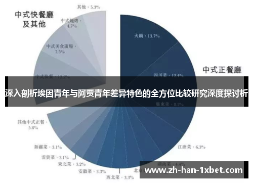 深入剖析埃因青年与阿贾青年差异特色的全方位比较研究深度探讨析 深入剖析埃因青年与阿贾青年差异特色的全方位比较研究深度探讨析