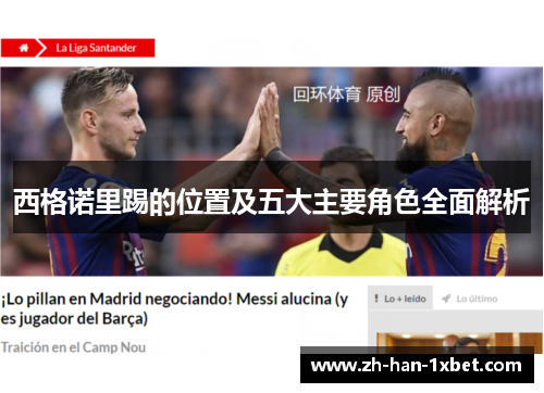 西格诺里踢的位置及五大主要角色全面解析