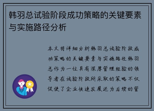 韩羽总试验阶段成功策略的关键要素与实施路径分析