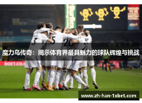 魔力鸟传奇：揭示体育界最具魅力的球队辉煌与挑战